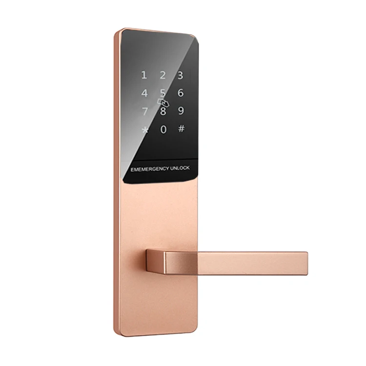 Easloc Cerradura Inteligente Keypad Smart Door Lock for Main Door