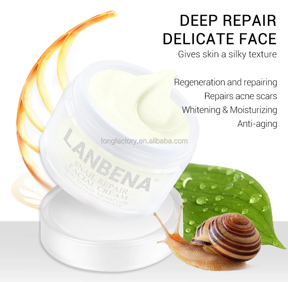Best Facial Care  OMY LADY Anti-Acne Natural Face Wrinkle Removal Cream Anti Aging Cream Men