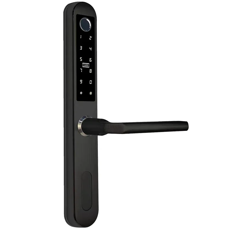Door Lock High Security Ttlock APP BLE Wifi Control Electronic Smart Fingerprint Keyless Sliding Aluminum Stainless Steel Cloud